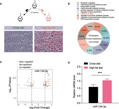 Repression of MicroRNA-124-3p Alleviates High-Fat Diet–Induced Hepatosteatosis by Targeting Pref-1